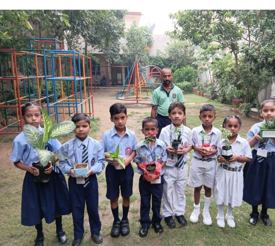 Tree plantation activity